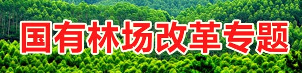 国有林场改革专题