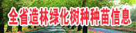 全省主要造林绿化树种种苗信息